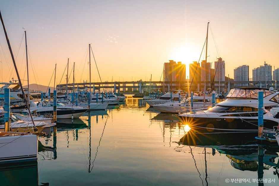 수영만 요트경기장