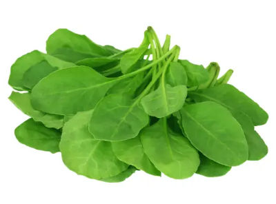 여성 갱년기에 좋은 식품