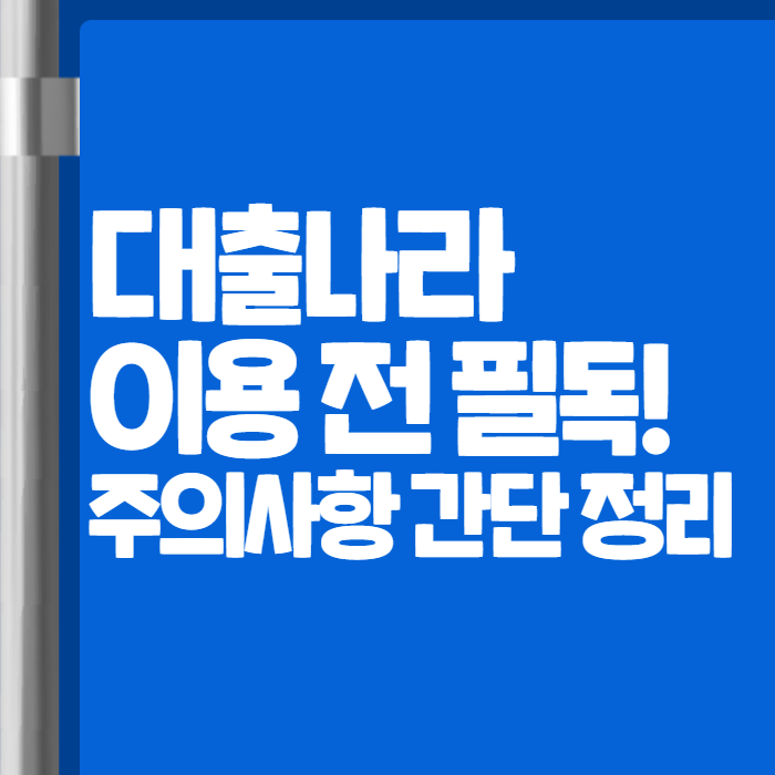 대출나라 후기 - 2025년 등록정보 변경과 안전 이용법 정리
