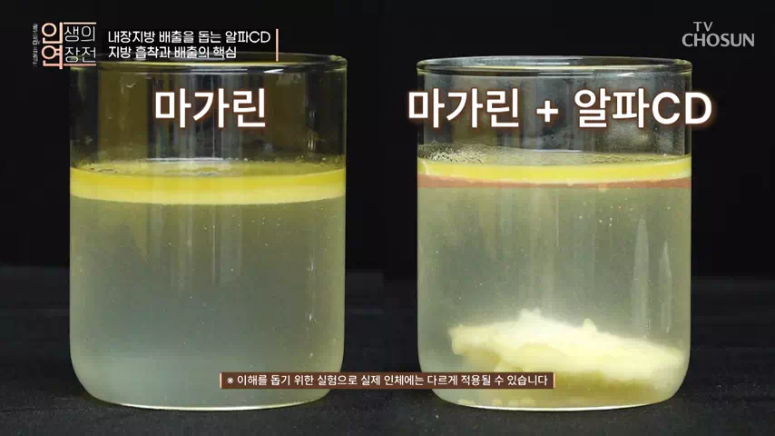 알파CD
