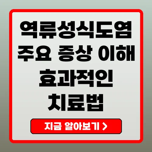 2025년 역류성식도염 증상 및 효과적인 치료법 완벽 가이드