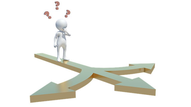 선택의 역설: 선택지가 많을수록 우리는 왜 불행해지는가?