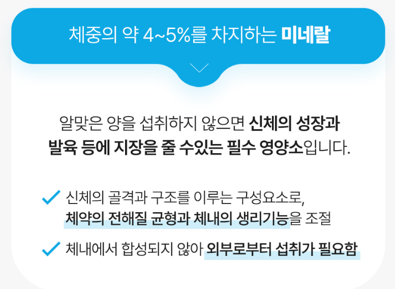 비타민 추천 베스트3