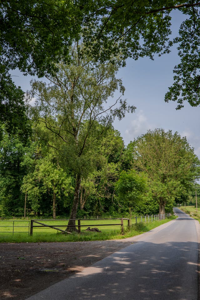 날씨 예보 구름 많은 날씨 공원 모습