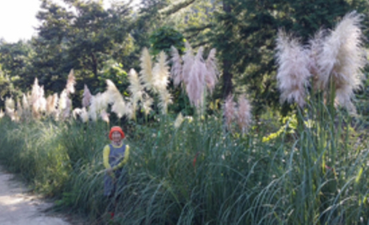 해남 포레스트 수목원