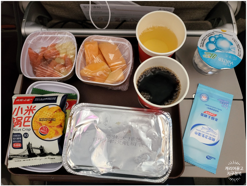 싱가폴에 가는 동방항공 A350