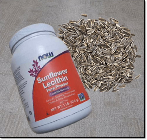 해바라기 레시틴 효능