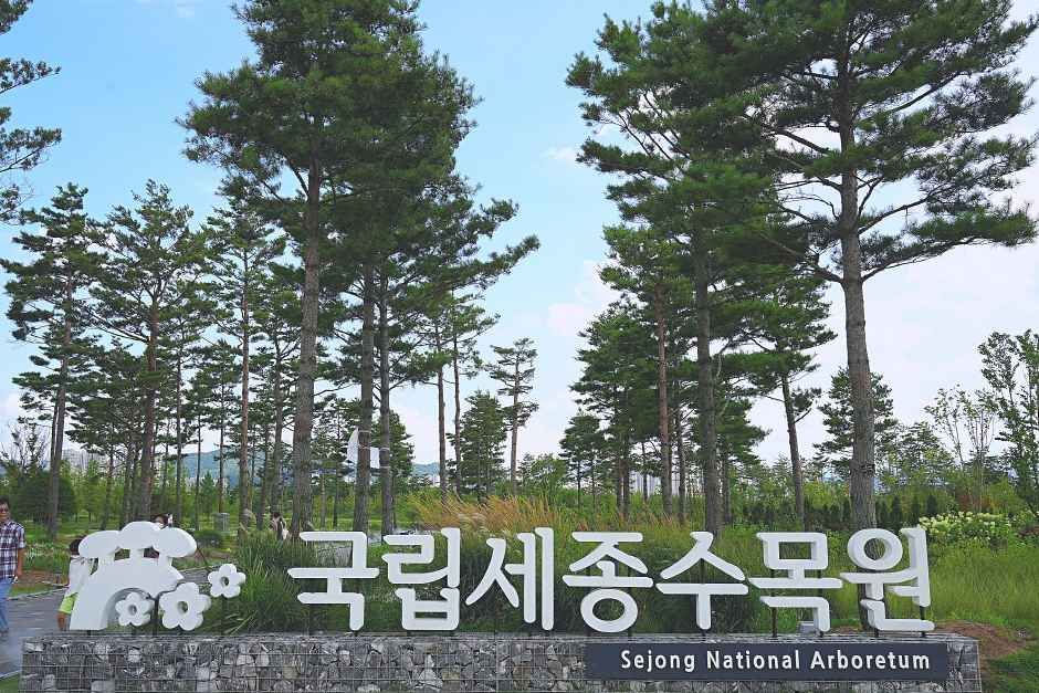 세종 가볼만한곳 베스트10