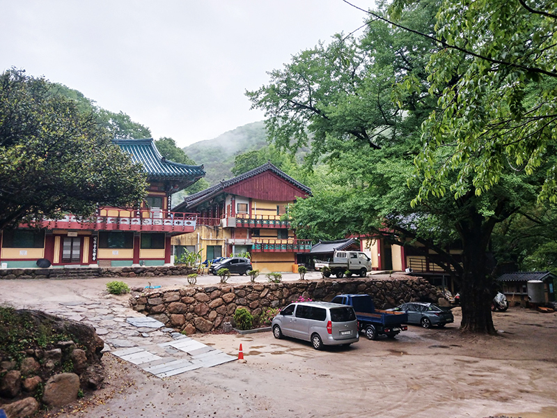 경남 쌍계사 템플스테이 신청 방법