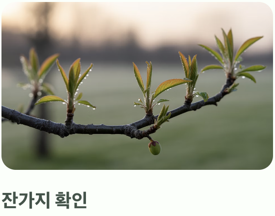 첫 단추가 중요해요, 튼튼한 모종 고르기