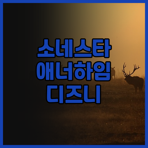 소네스타 애너하임 리조트 에어리어 찐..