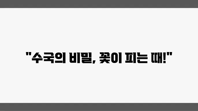 가을철 수국의 개화와 감상하기