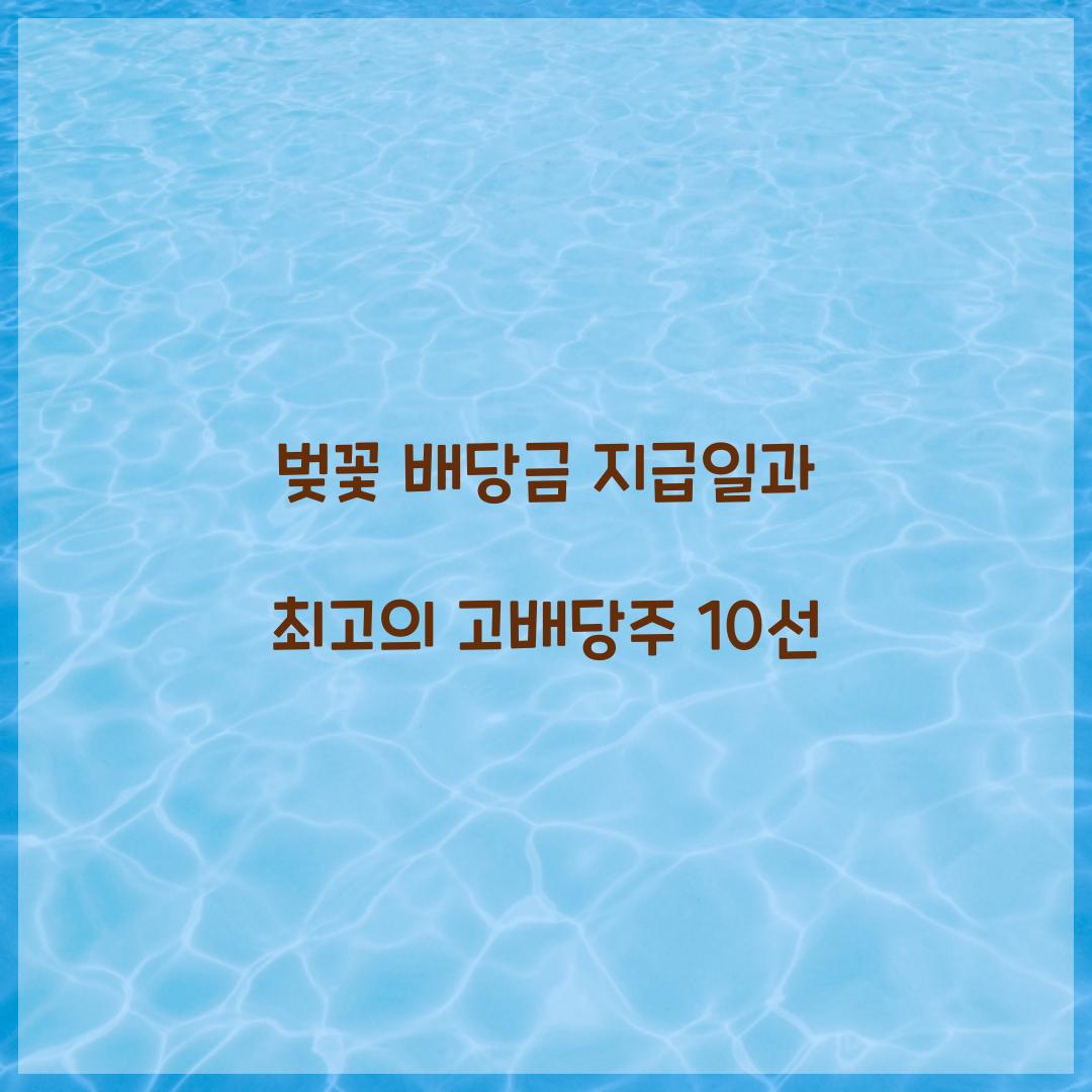 벚꽃 배당금