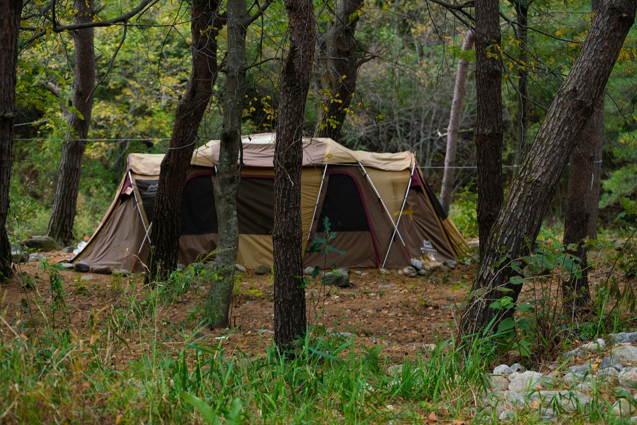 가을 가족 캠핑 여행지 관련 사진