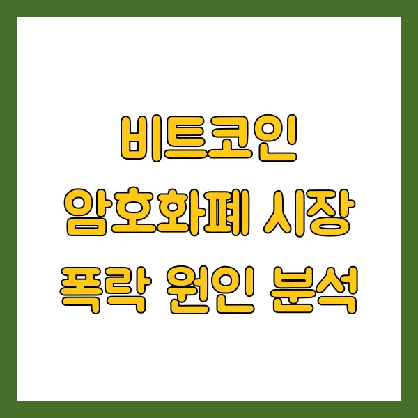 비트코인 암호화폐 시장 폭락 원인 분석