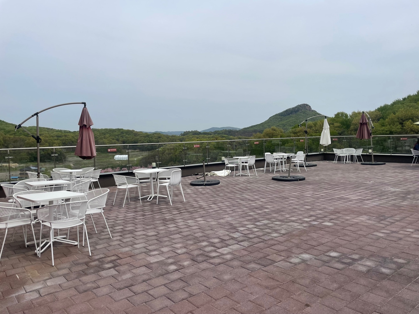 용인 자작나무숲 베툴라 대형 베이커피 카페