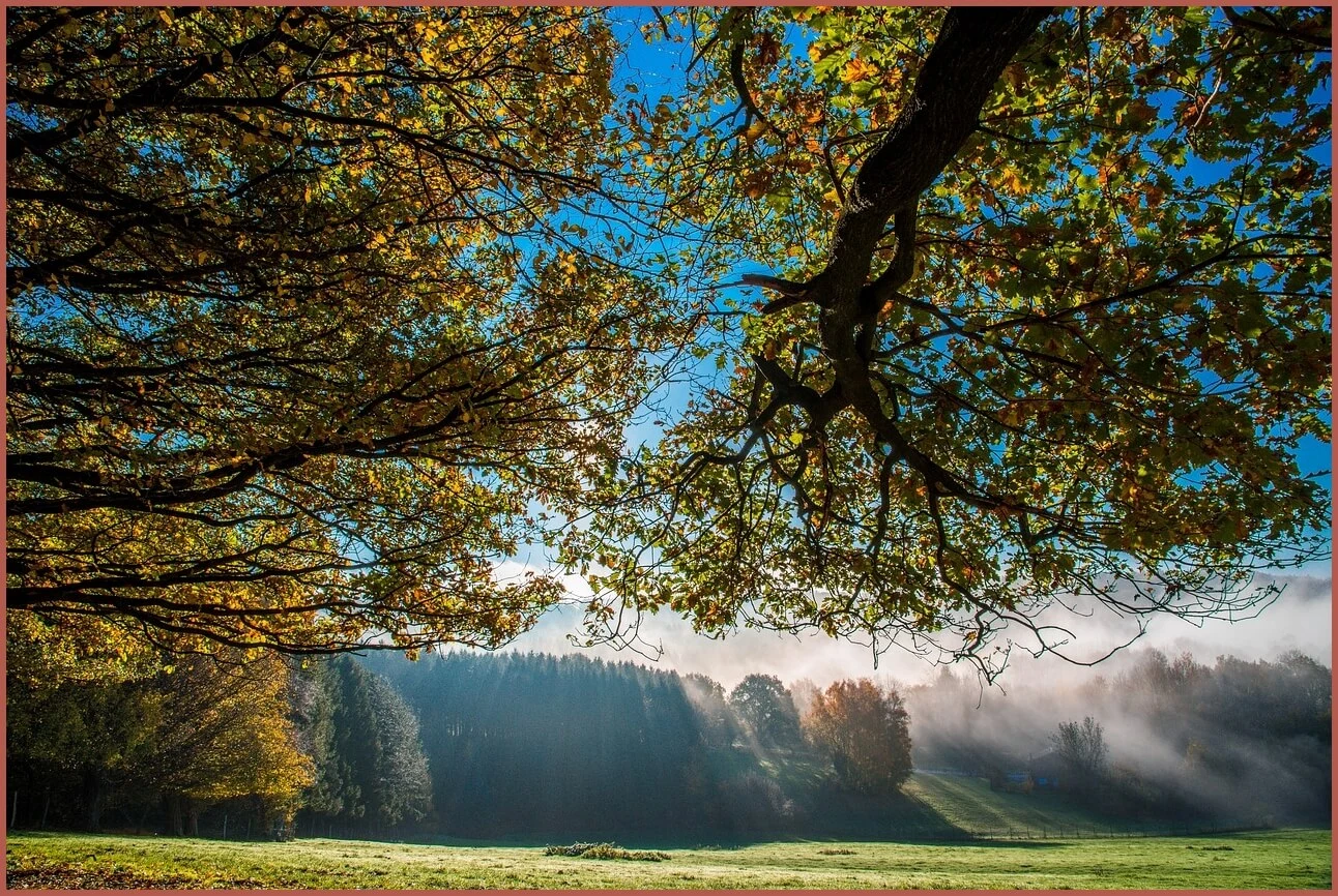 정기예금 금리비교