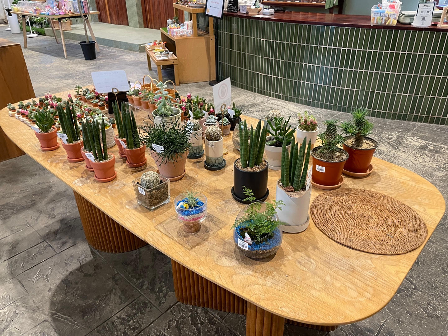 용인 식물원 베이커리 카페 어반리프