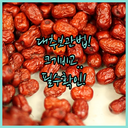 산지직송 국산 건대추 보관 방법과 용..