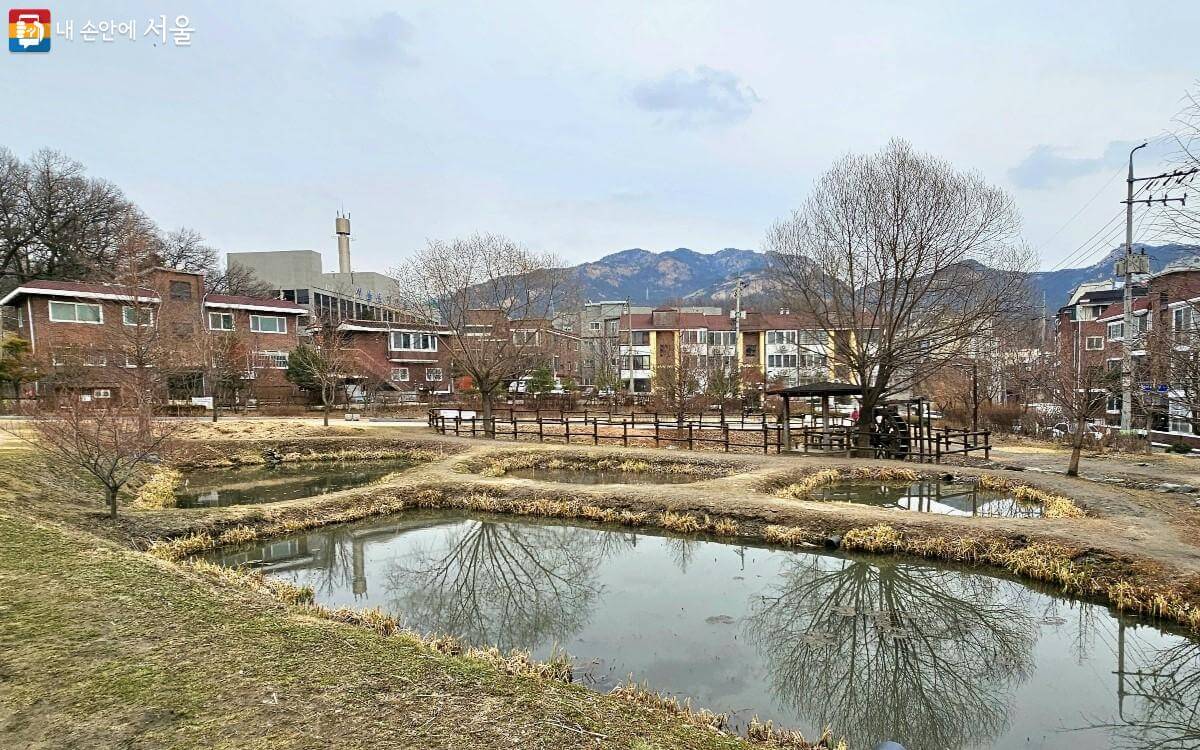 서울시 반려식물 클리닉 신청방법 예약