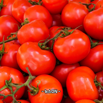 칼륨이 많은 과일과 채소