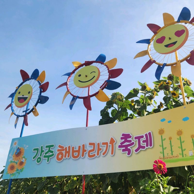 강주해바라기마을
