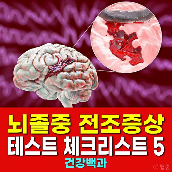 뇌졸중 전조증상 체크리스트 뇌졸중 전조증상 테스트