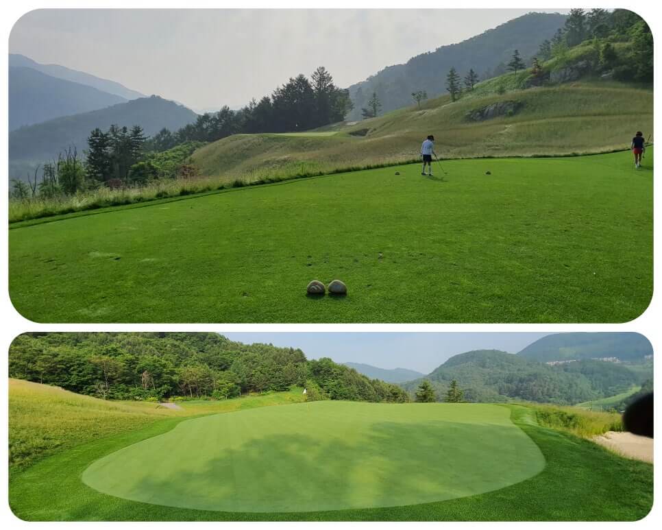 골프장 경험담 홍천 세이지우드cc 사람이 가장 쾌적함을 느끼는 해발 765m에서 경험하는 자연, 골프, 쉼