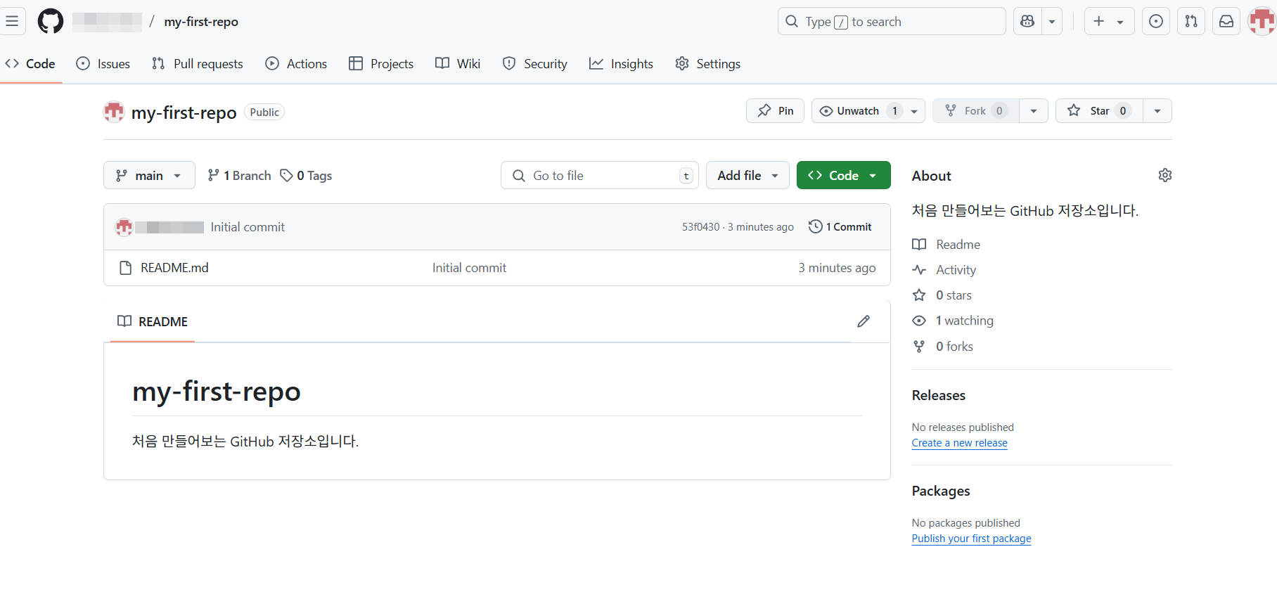저장소가 만들어진 후의 메인 화면