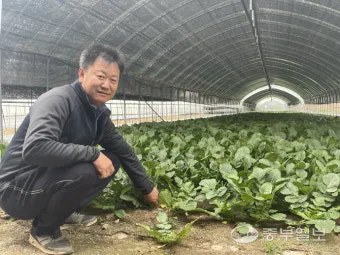 열무 재배 빠른 파종 잔털 제거 혼식 요령_5