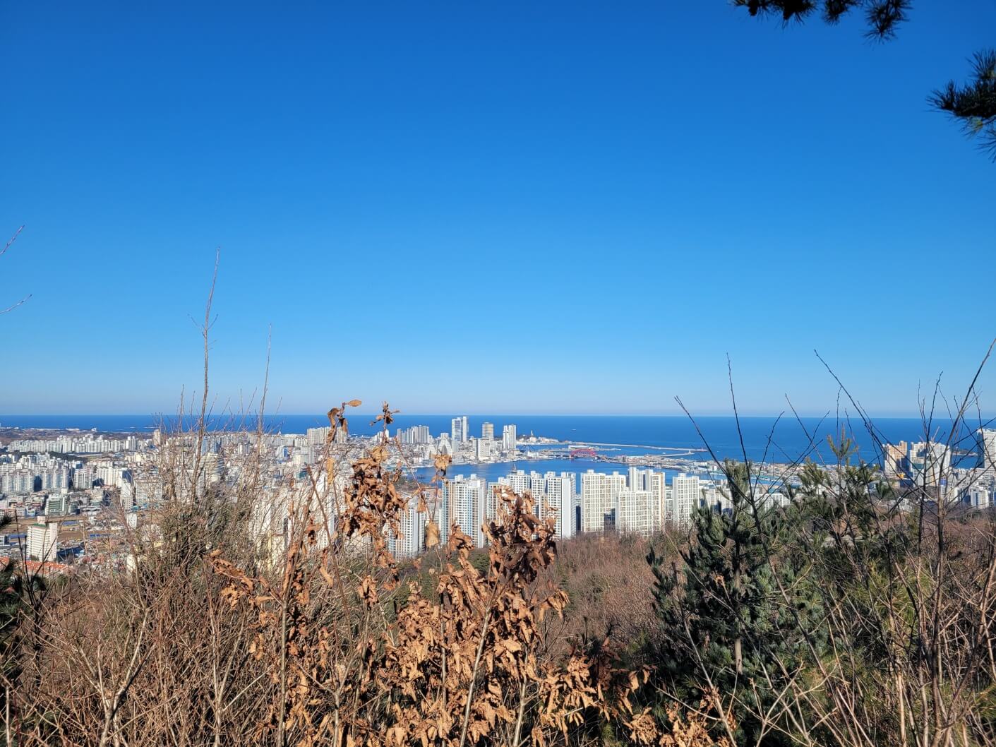 청대산 오션 뷰
