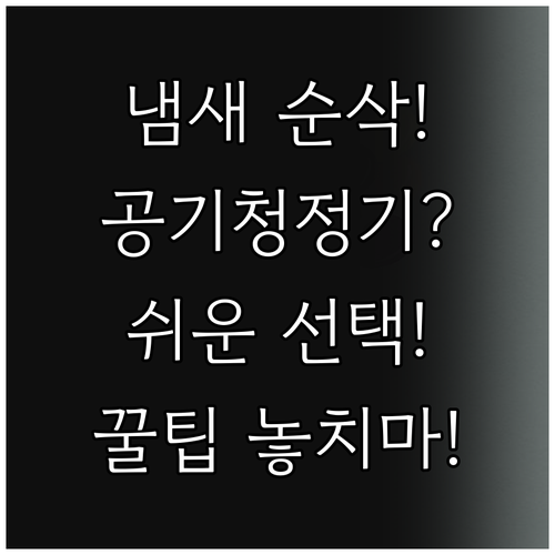 원룸 자취방 냄새 순삭 공기청정기 알..