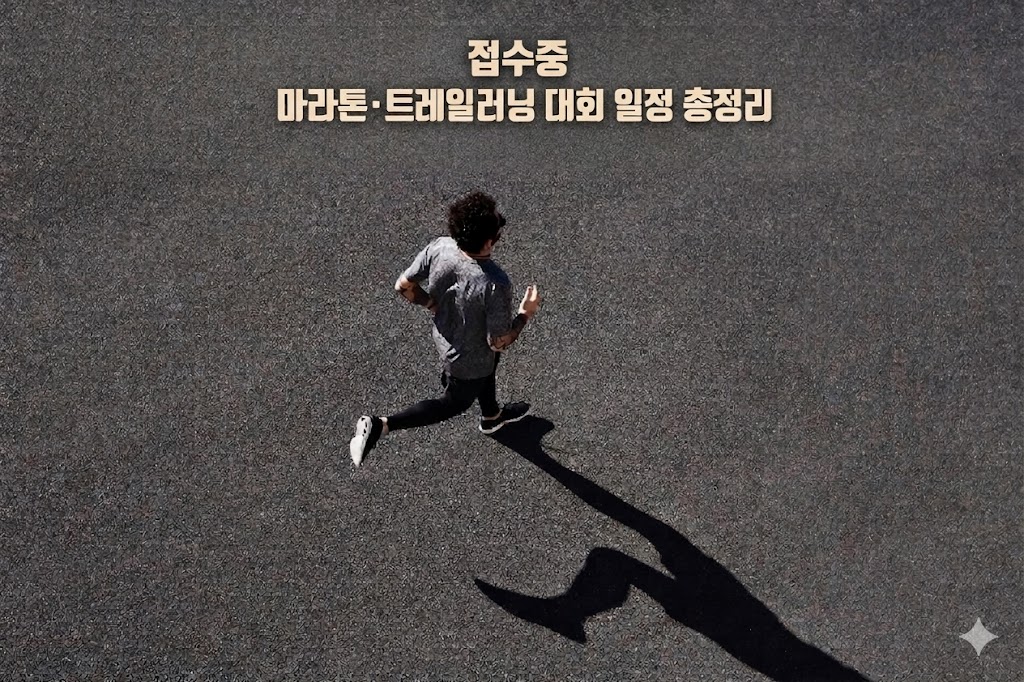 접수중 마라톤.트레일러닝 대회