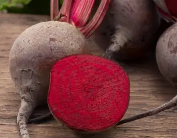 비트 가격 및 효능, 영양성분과 먹는 방법