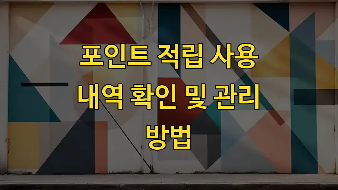 포인트 적립 사용 내역 확인 및 관리 방법