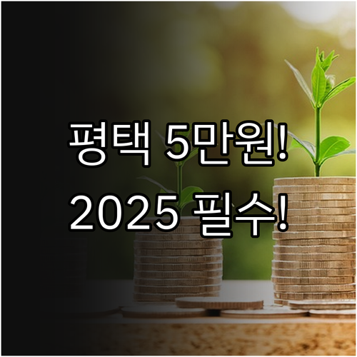 월 5만원 평택 복지수당 2025년 ..