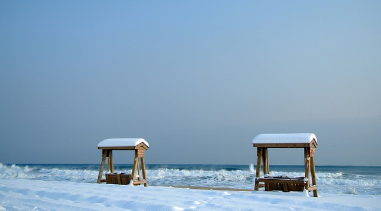 대관령 양떼목장, 도깨비 촬영지, 사근진해변, 중앙시장 탐방 및 추천 포토스팟