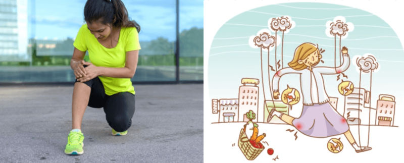 콘드로이친-효능