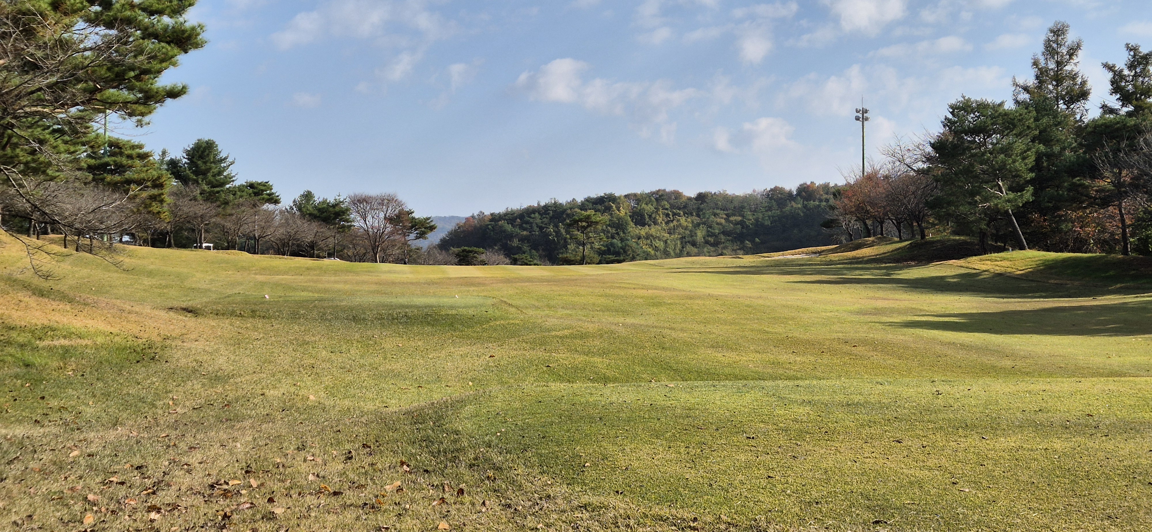 시그너스cc 라미코스 사진 및 공략 정보