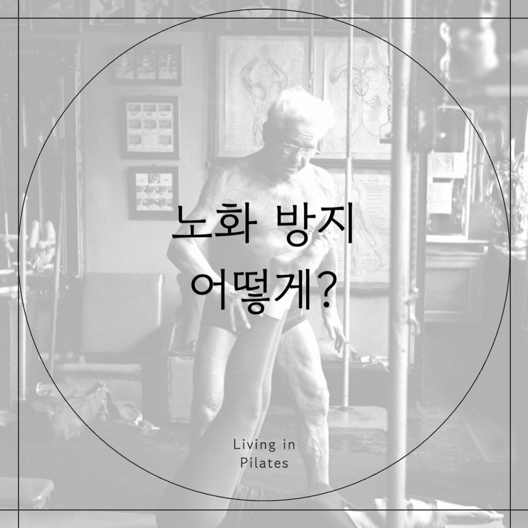 노화 방지, 어떻게?