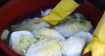 김장 레시피, 처음이라도 걱정 마세요! (+초보자를 위한 완벽 가이드)