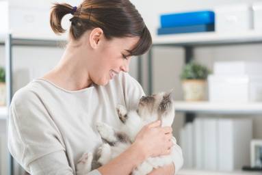 여자가 안고 있는 발톱이 검을지도 모르는 하얀 고양이.