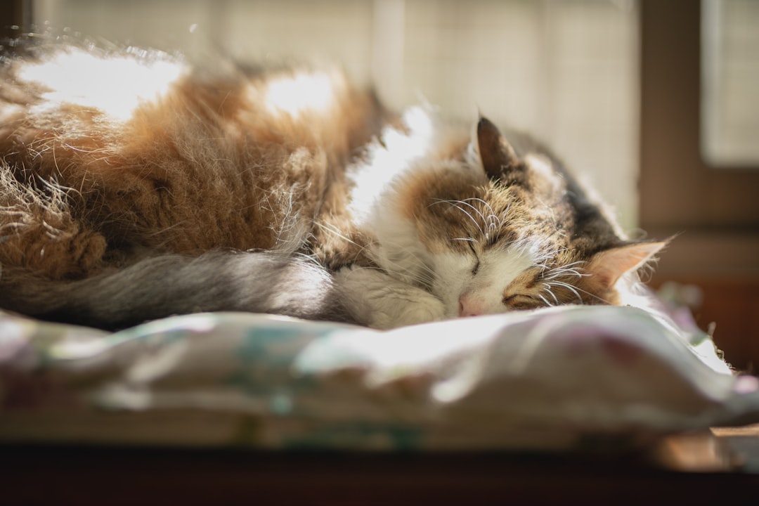 Sleep