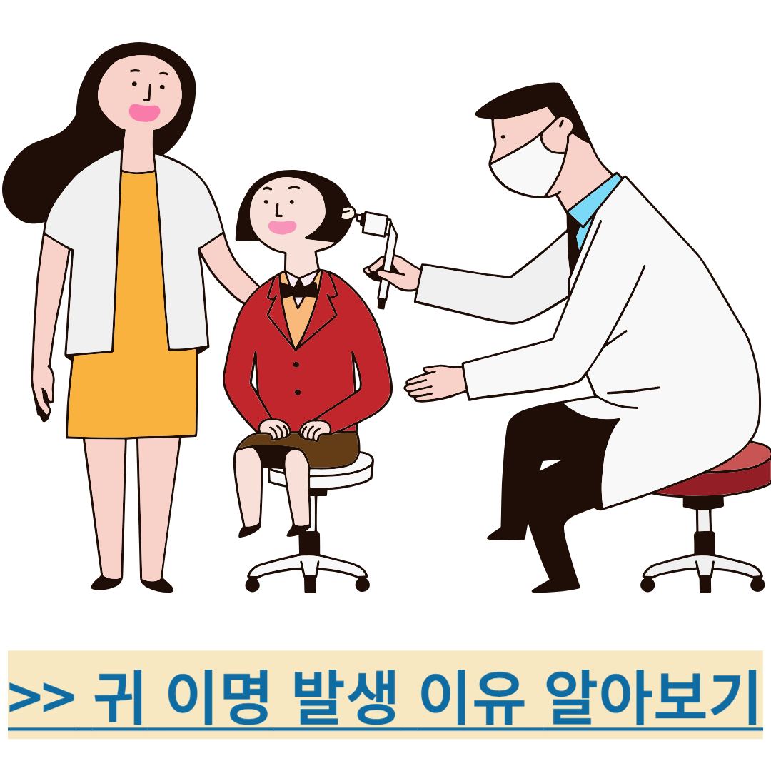 귀 이명 발생이유