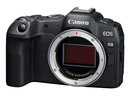 캐논 EOS R8