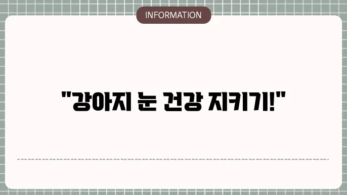 강아지 백내장 예방: 반려동물 건강 지키는 팁
