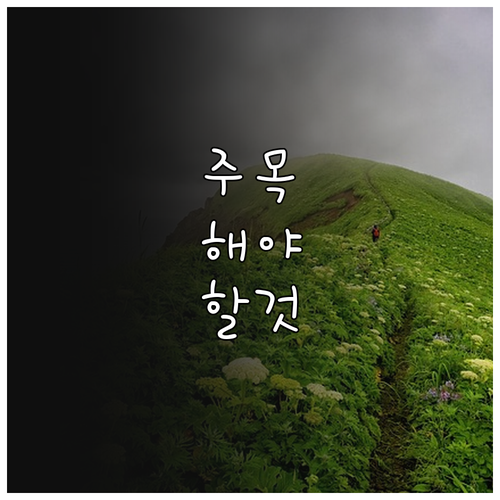 만 65세 이상 구리시 2025 노인..