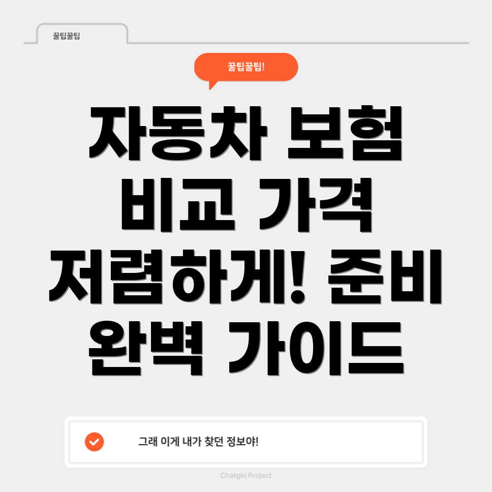 자동차 보험 가격 비교