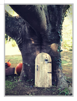 한글 그림 넣기 그림 삽입 연결