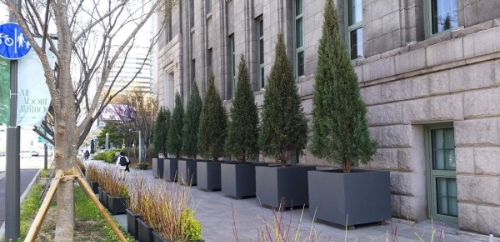 [정원수목]소형 정원에 딱 맞는 포인트 수목 추천 리스트